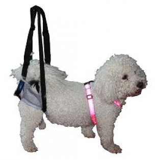 Support Harness